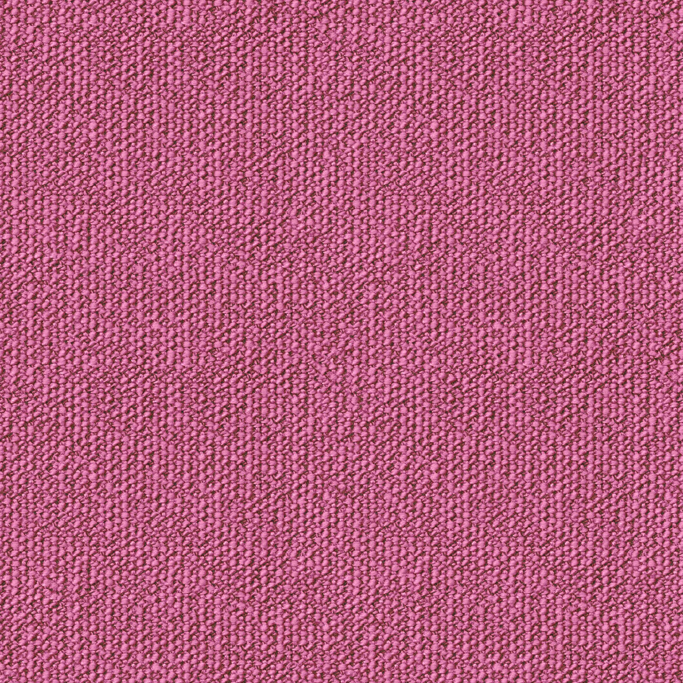 3677_80 (Preisgruppe 36)